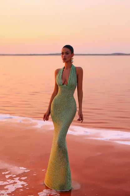 Zaira Erener Elbisesi
