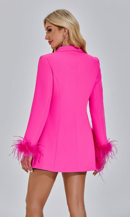 Francis Pembe Tüy Blazer