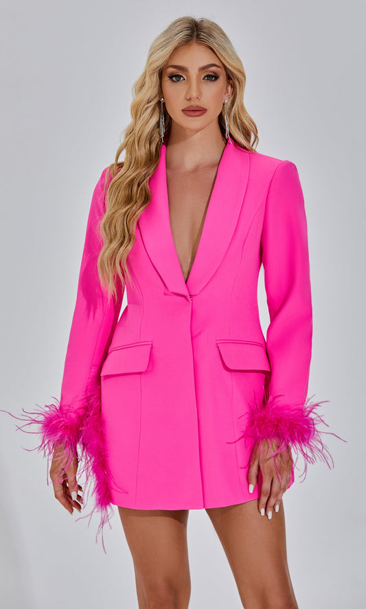 Francis Pembe Tüy Blazer